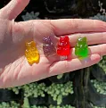 Click image for larger version

Name:	gummies_adobespark_1200x.webp
Views:	6
Size:	28.6 KB
ID:	189900