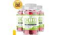 Click image for larger version

Name:	Evergreen Farms CBD Gummies.jpg
Views:	3
Size:	31.0 KB
ID:	192406