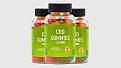 Click image for larger version

Name:	blissful wellness cbd gummies.jpg
Views:	4
Size:	25.1 KB
ID:	214480