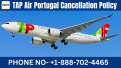 Click image for larger version

Name:	TAP Air Portugal Cancellation Policy Rules, Refunds, and Travel Vouchers.png
Views:	4
Size:	485.3 KB
ID:	221391