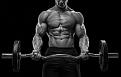 Click image for larger version

Name:	muscles-bodybuilder-shtanga.jpg
Views:	114
Size:	134.9 KB
ID:	3104